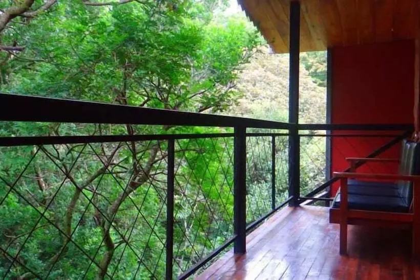 هتل Forest Dreams Manakin