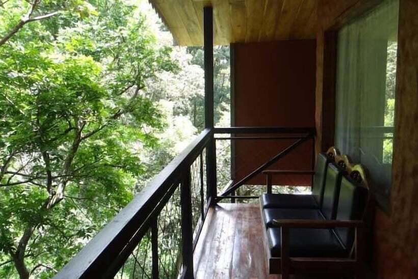 هتل Forest Dreams Manakin