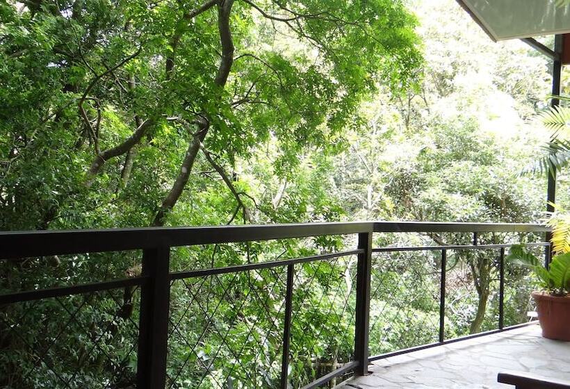 هتل Forest Dreams Manakin