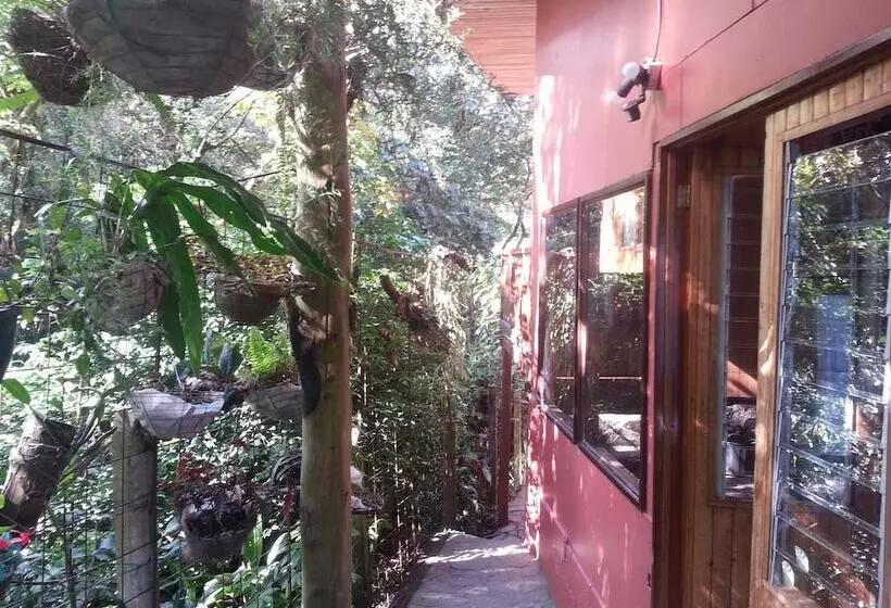 هتل Forest Dreams Manakin