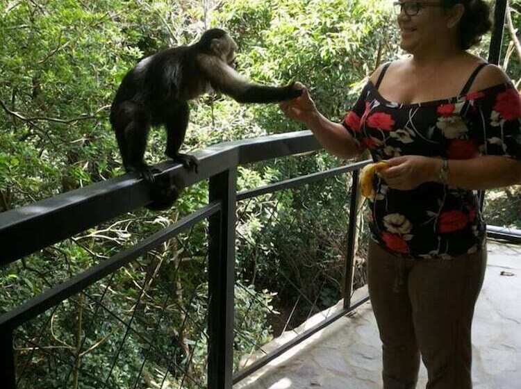 هتل Forest Dreams Manakin