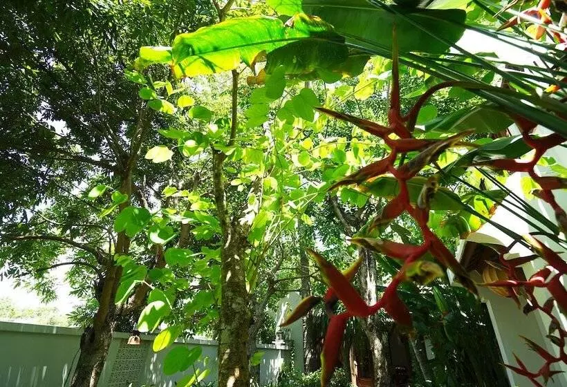 هتل Hoi An Chic   Green Retreat