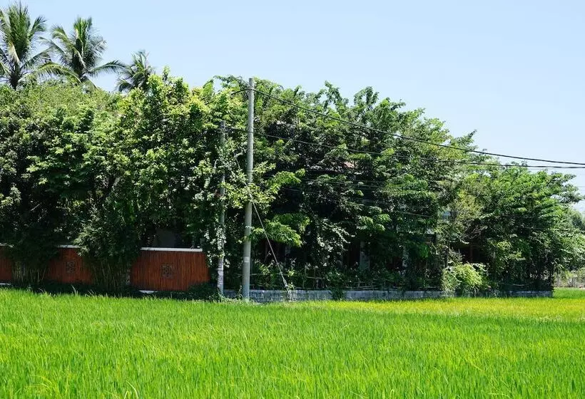هتل Hoi An Chic   Green Retreat