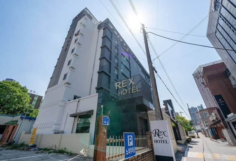 Отель Rex