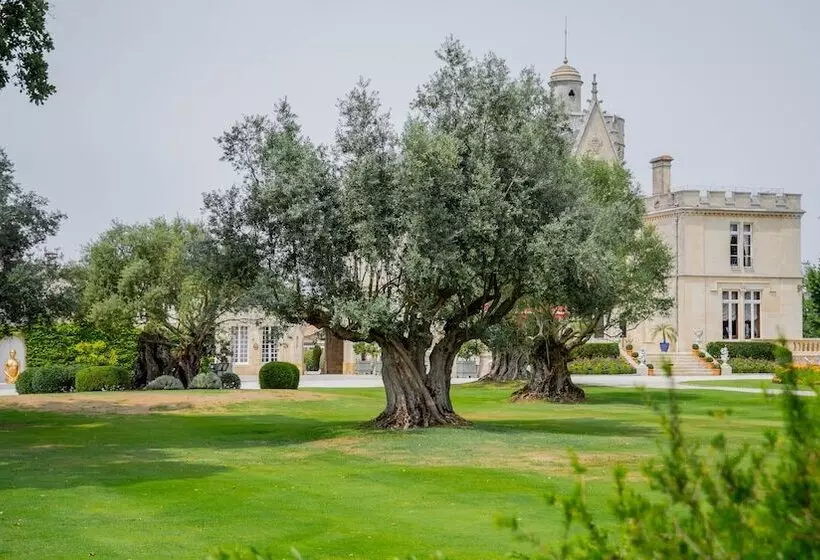 پانسیون Chateau Pape Clement