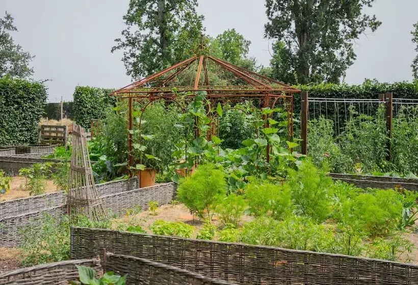 پانسیون Chateau Pape Clement