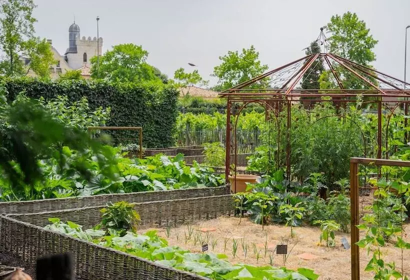 پانسیون Chateau Pape Clement