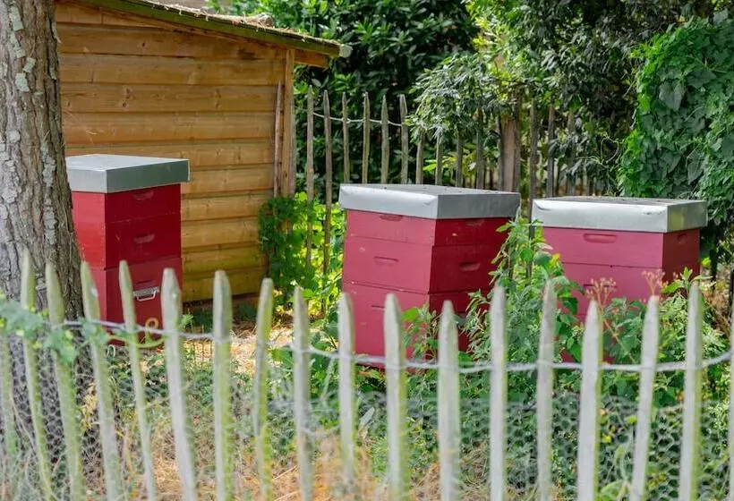 پانسیون Chateau Pape Clement