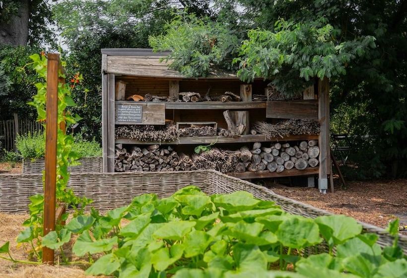 펜션 Chateau Pape Clement