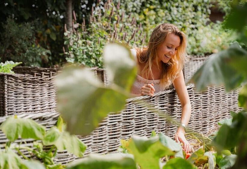 펜션 Chateau Pape Clement