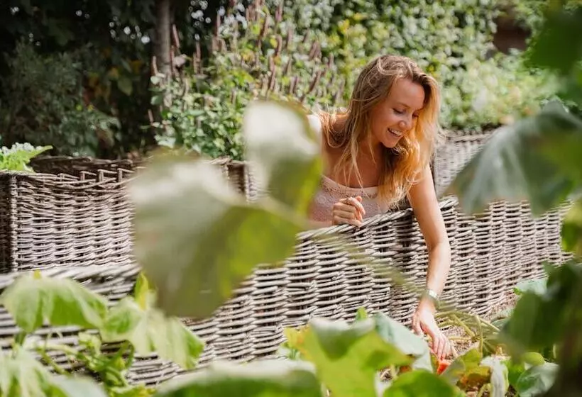 پانسیون Chateau Pape Clement