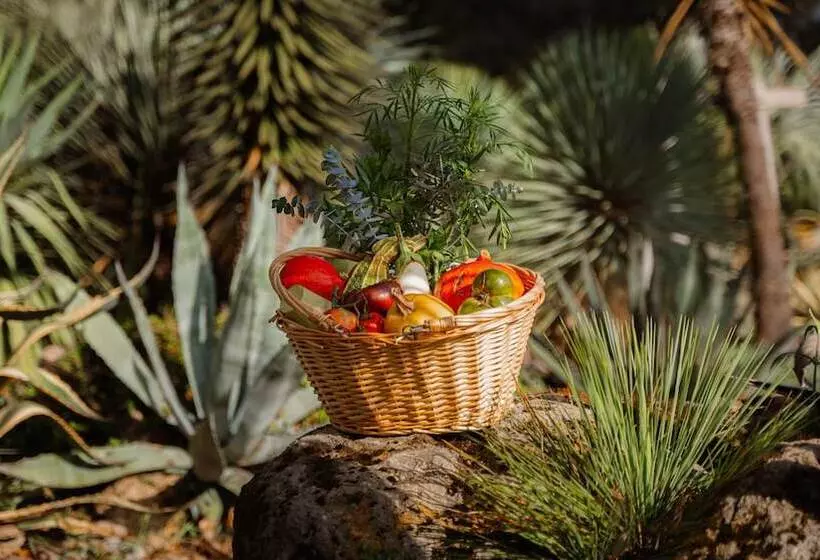 پانسیون Chateau Pape Clement