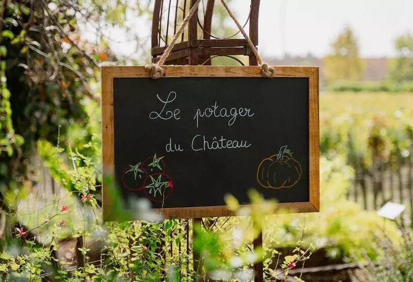 پانسیون Chateau Pape Clement