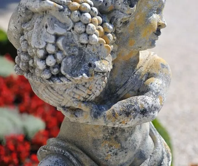 پانسیون Chateau Pape Clement