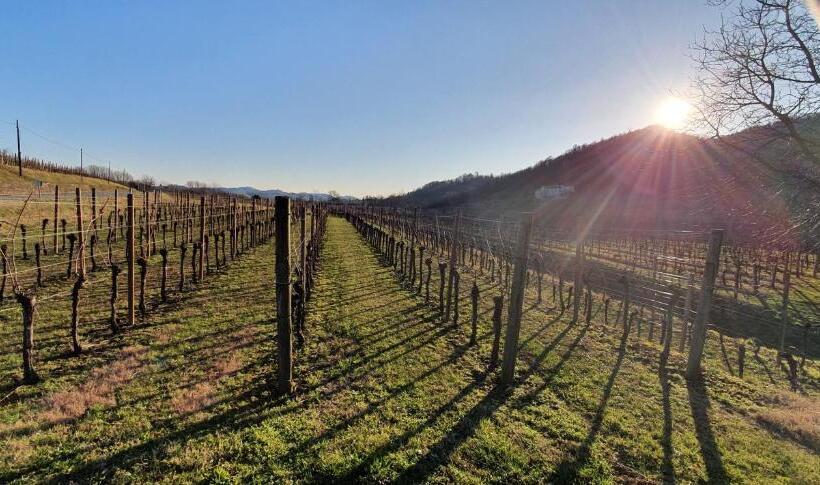 צימר Domus Iulii