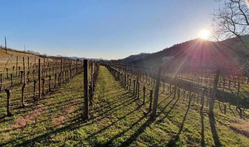 Nocleg ze śniadaniem Domus Iulii