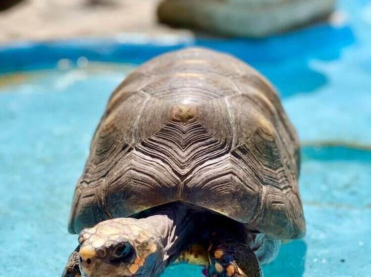 Azure Hotel And Art Studio