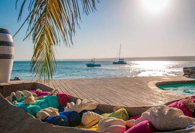 ホテル Castelo Do Mar