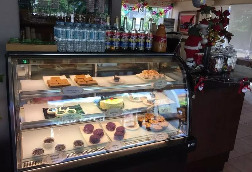 Szálloda Soledad Suites