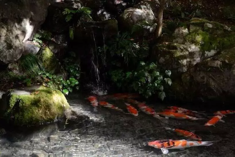 호텔 Tsuki No Koigokoro