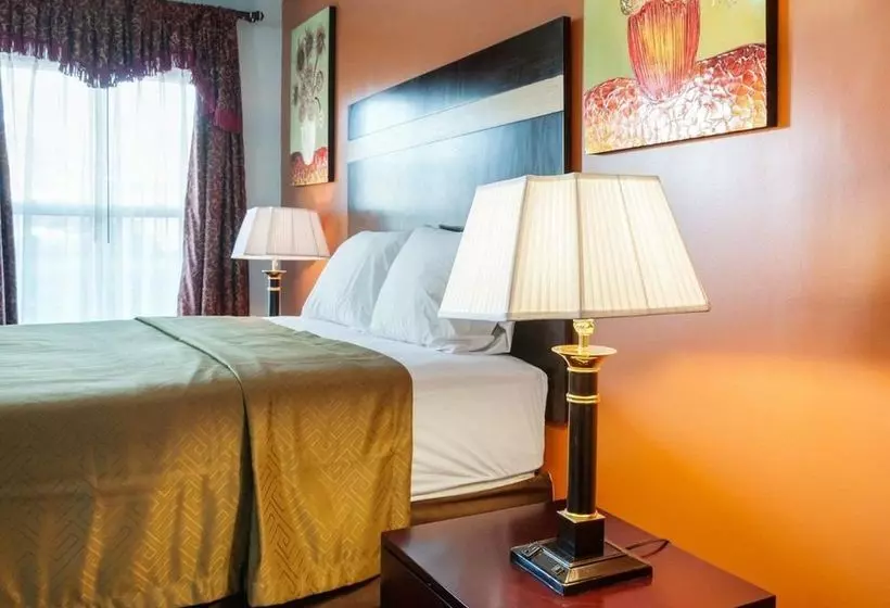 فندق على الطريق Rodeway Inn and Suites