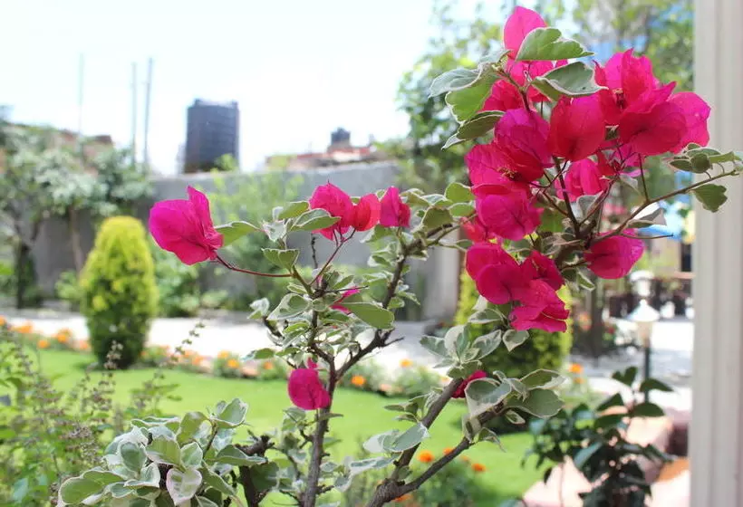 پانسیون Dipankara Holiday Home