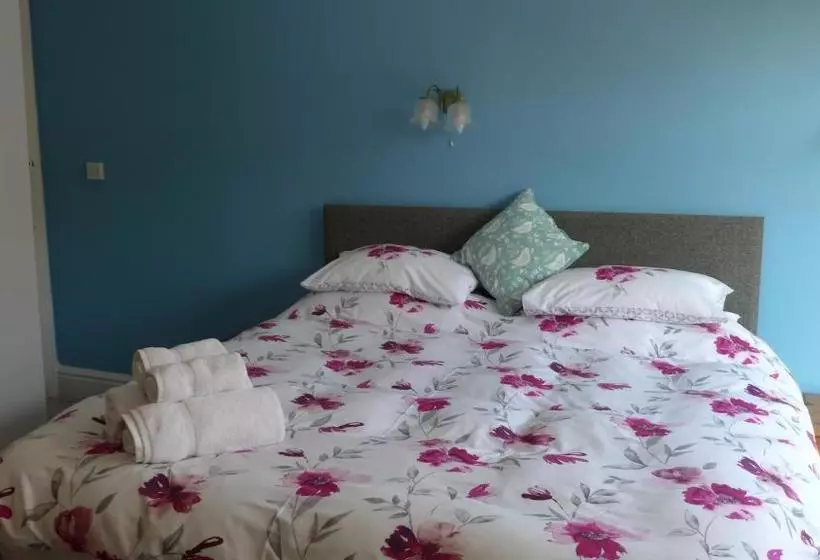 پانسیون Thorneyfield Guest House