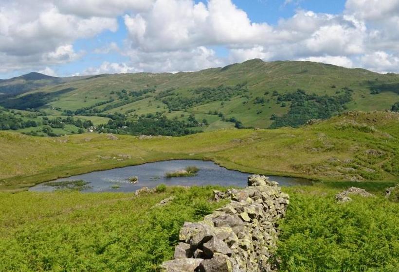 פנסיון Thorneyfield Guest House