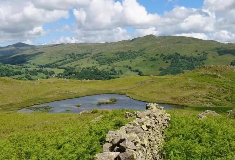 پانسیون Thorneyfield Guest House