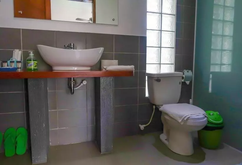 リゾートホテル Scent Of Green Papaya