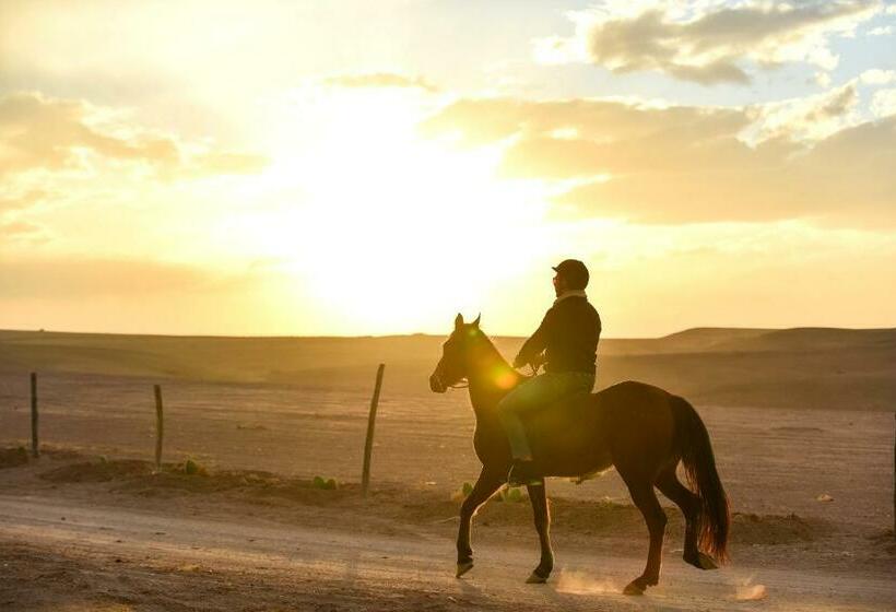 فندق Agafay Pearl Camp Marrakech