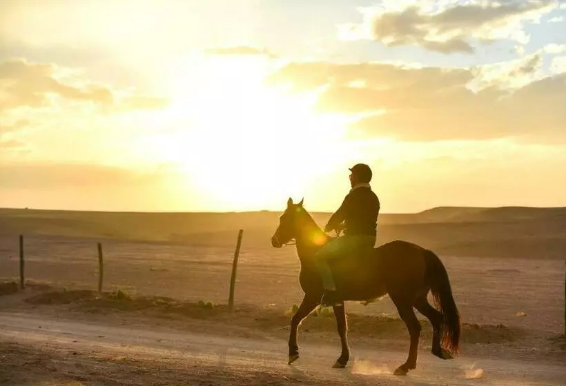 ホテル Agafay Pearl Camp Marrakech