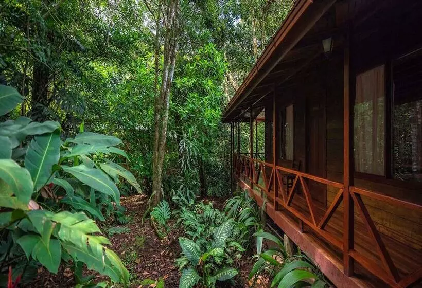 호스텔 Jaguarundi Lodge