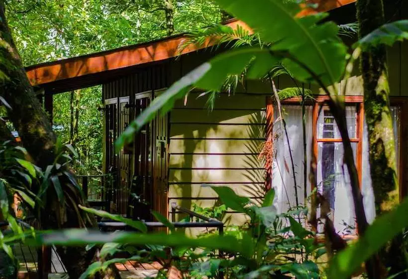 호스텔 Jaguarundi Lodge