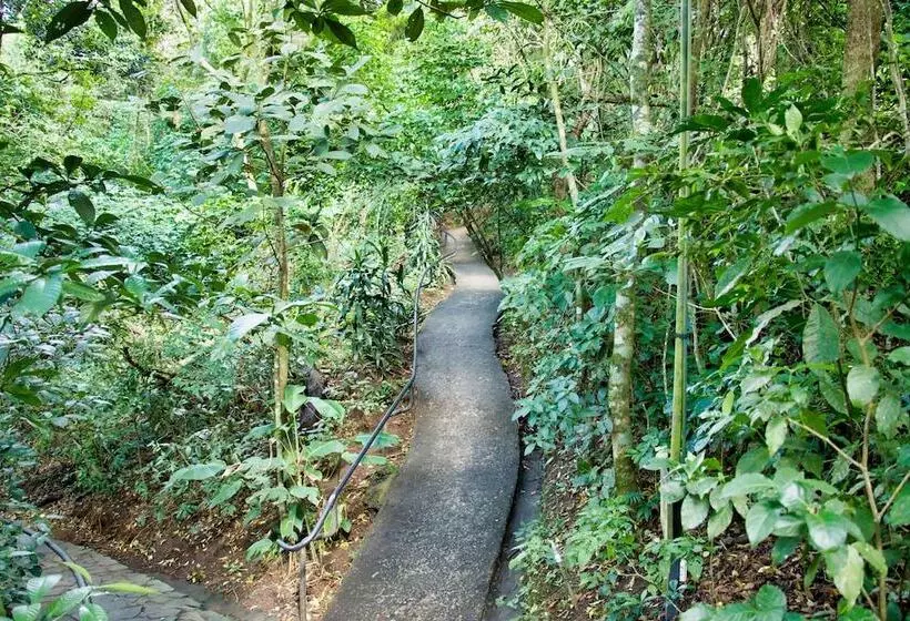 호스텔 Jaguarundi Lodge