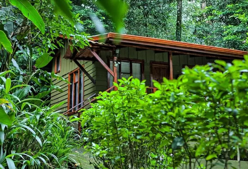 호스텔 Jaguarundi Lodge