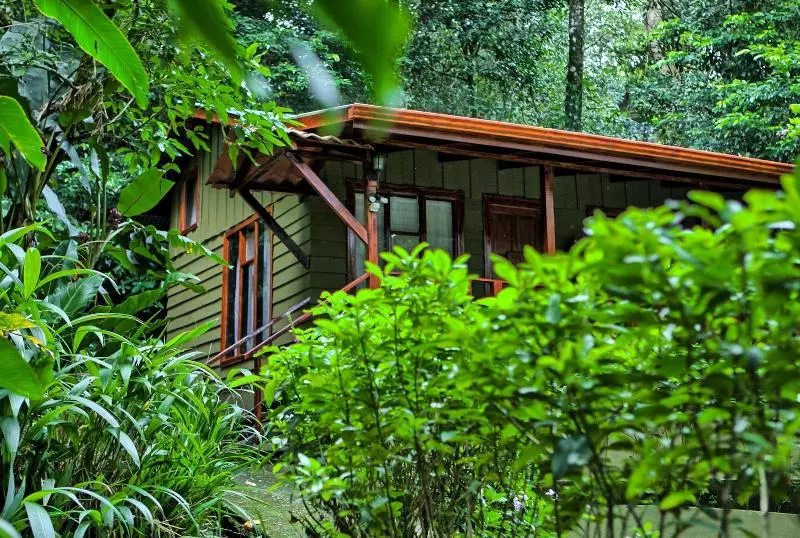 호스텔 Jaguarundi Lodge