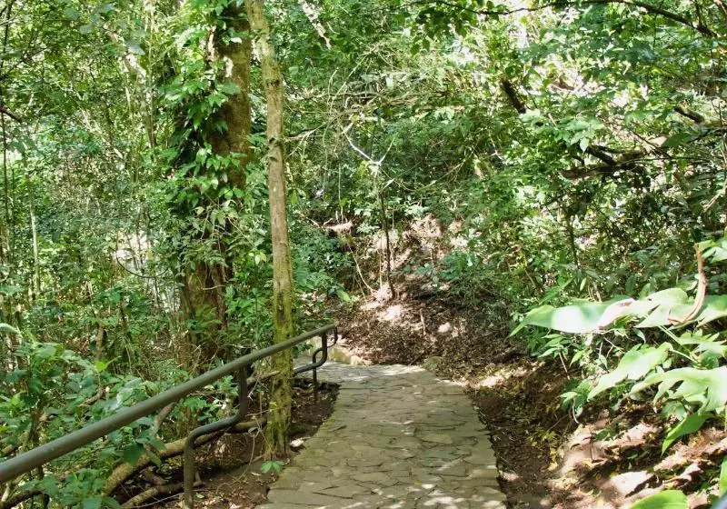 호스텔 Jaguarundi Lodge