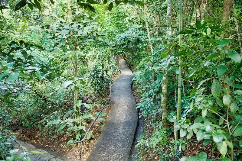 호스텔 Jaguarundi Lodge