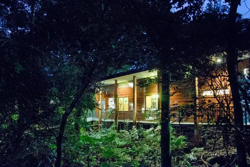 호스텔 Jaguarundi Lodge