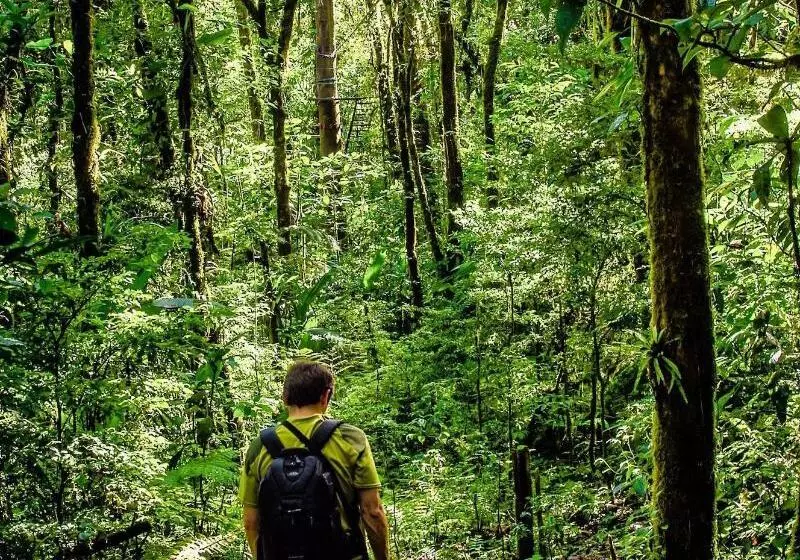 호스텔 Jaguarundi Lodge