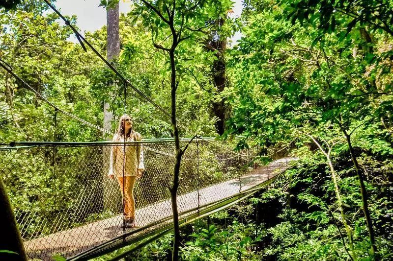 호스텔 Jaguarundi Lodge