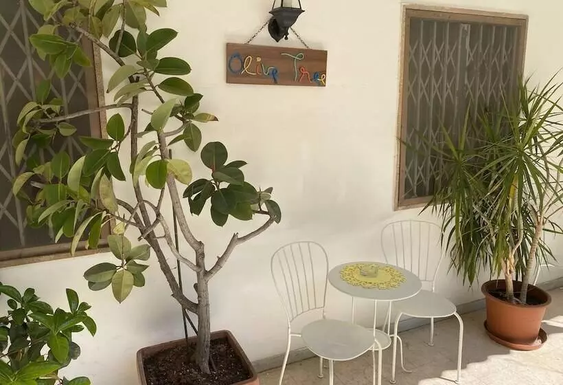 Olive Tree Hostel