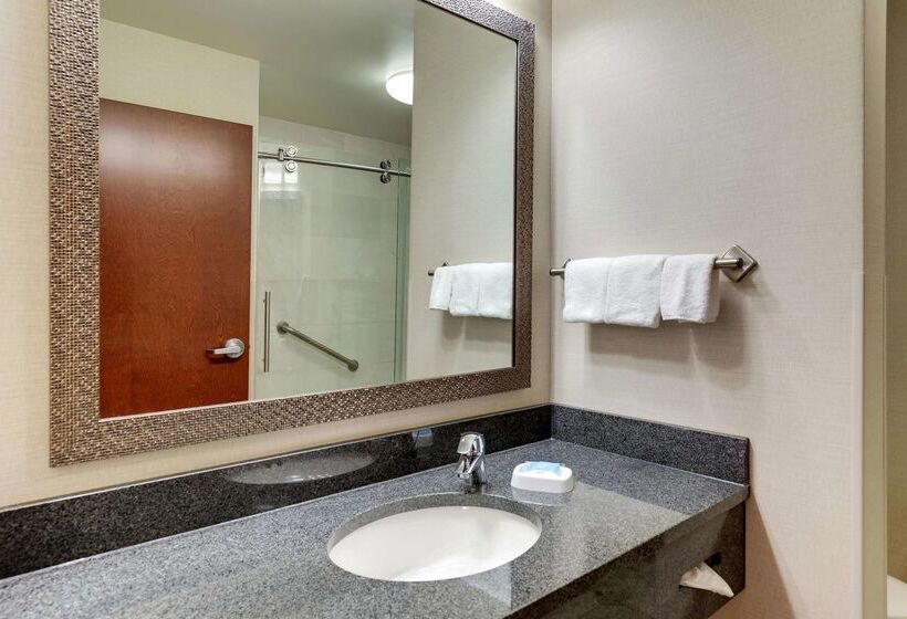 호텔 Drury Inn & Suites Independence Kansas City