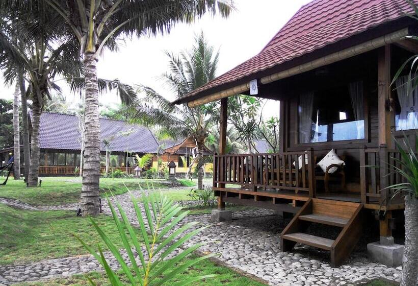 Отель Mina Tanjung