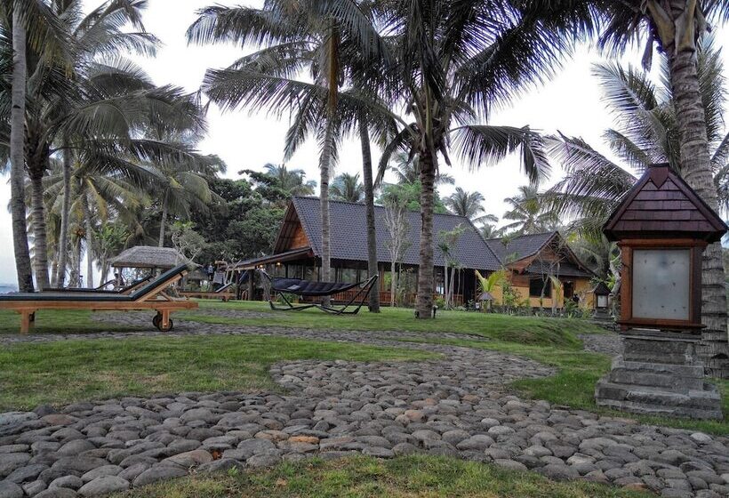 Отель Mina Tanjung