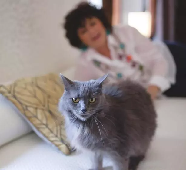 Пансион Vedetta Townhouse   Camere E Appartamenti Nel Centro Storico By Be Vedetta