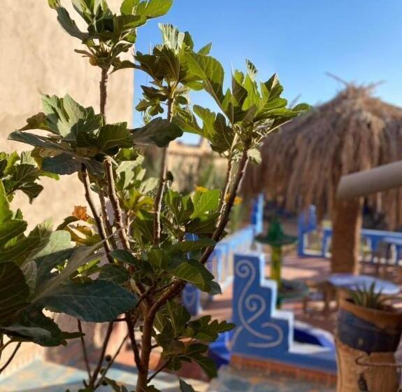 فندق صغير Auberge Kasbah Dar Sahara Tours