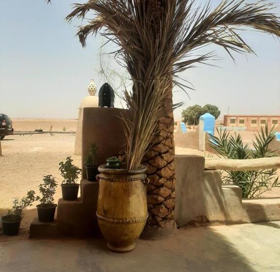 فندق صغير Auberge Kasbah Dar Sahara Tours