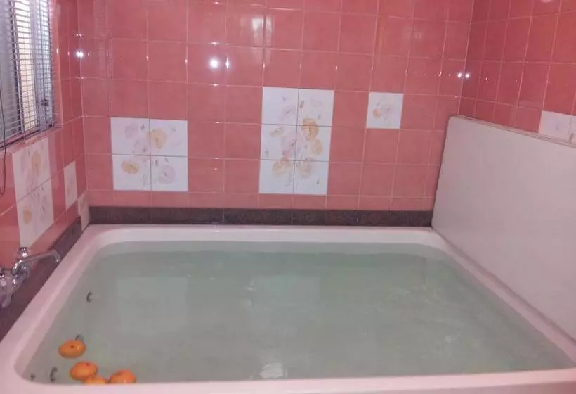 Bed and Breakfast Orange Pension